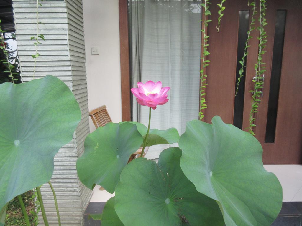 Rika Sanur Homestay Exteriör bild
